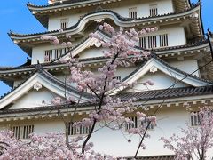 福山-3　福山城　福山城博物館を見学　☆天守最上階からの眺望も