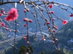 春の四国東半分をまわる旅? 