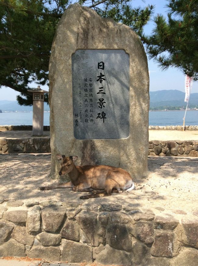 ＪＡＬの特典航空券でＧＷ２泊３日で愛媛･広島へ、、、<br /><br />最終日。朝早く起きて、松山観光港(愛媛)からフェリーに乗り<br />広島港乗り継ぎで、人気の宮島へ<br />ＧＷ中日の平日でしたが、やっぱり人がいっぱい。賑わっていました。<br />広島名物は食べ歩きで堪能しました。