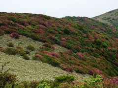 ハイキング・登山