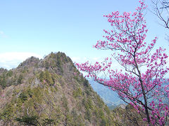 両神山 八丁峠からアカヤシオ満開の鎖場をゆく