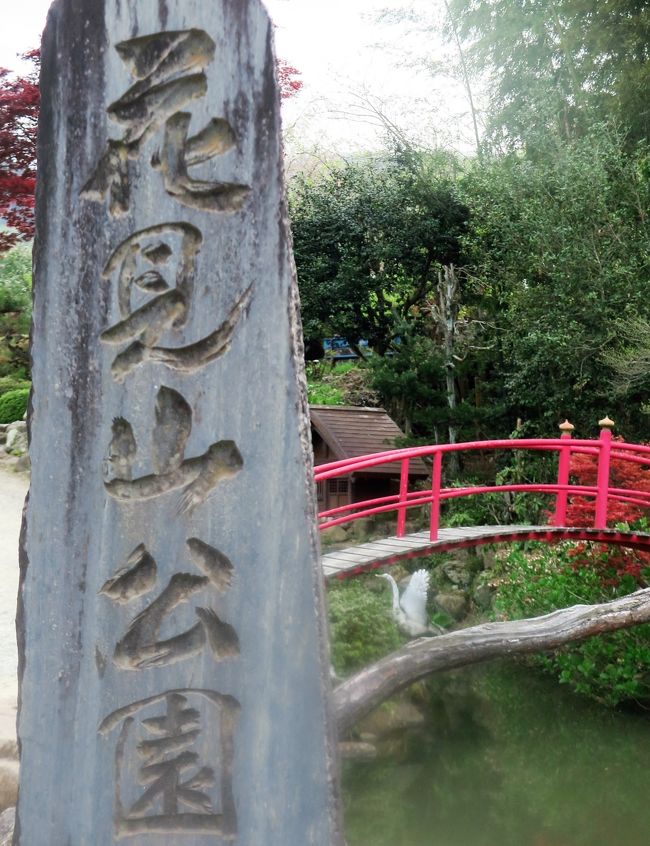 花見山公園（はなみやまこうえん）は、福島県福島市にある花卉園芸農家の私有地の名称。中心市街地から見て南東、阿武隈川右岸の渡利地区の丘陵地中腹に位置する。所有者が公園として市民に無料開放しており、特に春の花見シーズンには、多くの観光客を集めている。当園周辺の農家も花卉園芸を行っており、地区一帯で花が咲くため、「花見山」は地区全体の総称としても使用されている。<br />観光バス駐車場と当園との間は約800m（徒歩10分）あり、ウォーキングトレイル事業によって地区内に遊歩道が整備され、地区内を流れる川の護岸工事も行われた。<br /><br />1950年代後半になると開花期には山が一面の花で埋まるようになり、観光客が集まり始めた。阿部家の主は戦争で苦しんだ人たちを元気付けたいとの思いもあり、「花見山公園」と名づけて1959年（昭和34年）4月に無料開放した。<br />2010年（平成22年）には過去最高となる32万人が来園し、外国人観光客の団体も見られるようになった。<br />特徴<br />園芸花木であるため、自然樹形とは異なる特徴的な樹形をしている。<br />農業経済学（農業経営学）に従って、多様な樹種が栽培されている。<br />また、丘陵地にあるため、春の晴れた日には、坂の途上で雪を頂く吾妻連峰や吾妻小富士の雪うさぎが遠くに眺められる。<br />（フリー百科事典『ウィキペディア（Wikipedia）』より引用）<br /><br />花見山公園　<br />http://www.hanamiyamakoen.jp/<br /><br />2 福島--③花見山公園(たっぷり３時間滞在)--④三春の滝桜(90分滞在)--新白河--&lt;新幹線なすの利用&gt;--上野(途中下車))　 ※歩行約3キロ、約2時間　 <br />