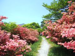 ＜旅鉄子☆リゾート那須野満喫号＞満開の八幡ツツジ・鹿の湯・牧場ソフト！日帰りで満喫那須旅～