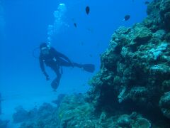 姉記念ダイビング♪渡嘉敷島