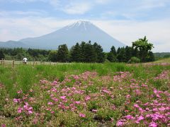 2016年5月24日：新緑ドライブ　河口湖～富士芝桜まつり～本栖湖、そして始めてしまった道の駅スタンプラリー