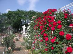 県内でただひとつ開園されている薔薇園に