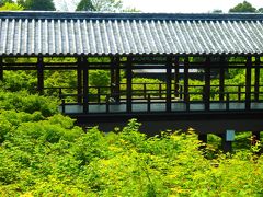 東福寺から鞍馬寺へ～京都半日だけの一人旅～