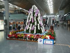 セントレア(中部空港)に勢揃い