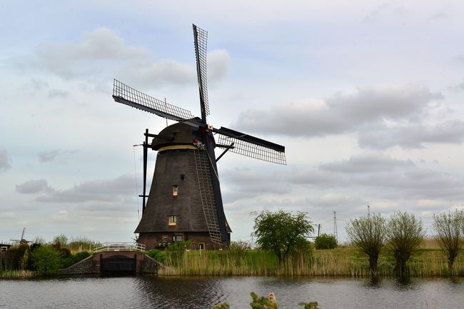 　キンデルダイクの郊外には、１７４０年頃に建設された風車が残っています。風車は、オランダにおける治水技術の象徴として、オランダの風物詩として広く愛されています。<br />　風車は対面に2列に並んでいて、壮観な景色が広がっており、１９９７年にユネスコの世界文化遺産に登録さています。<br />