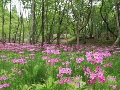 宍粟の旅行記