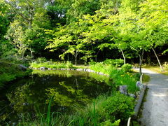 等持院　新緑の風景！2016年