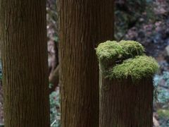 幻の沢ノ池漂流