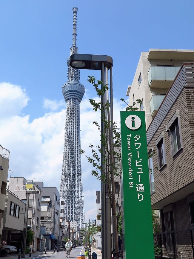 タワービュー通りがフルオープンしました　　2016年3月28日<br />　このたび、ＪＲ錦糸町駅と東京スカイツリーをまっすぐに結ぶ道「タワービュー通り」の整備工事が終わり、とうとうフルオープンしました。<br />　電線の地中化により、遮るものなく東京スカイツリーを眺めることができます。<br /> (墨田区の広報より）