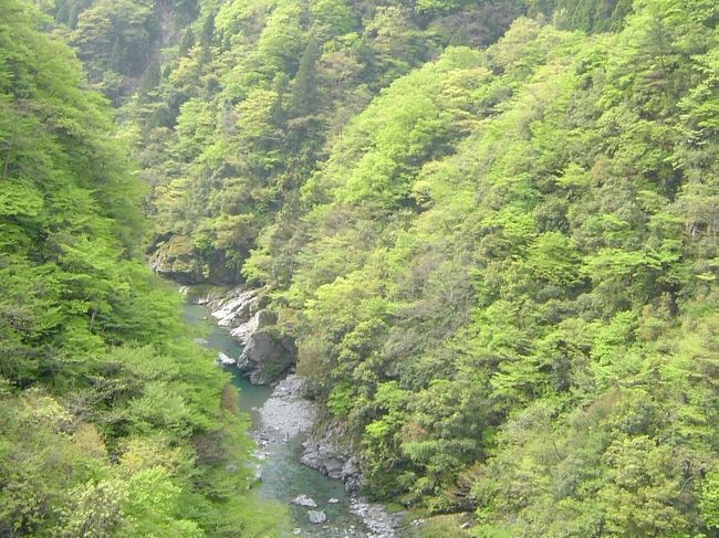 徳島にある秘境祖谷渓に行ってきました。<br />紅葉の季節もいいですが、新緑の季節もまたいいです。<br />