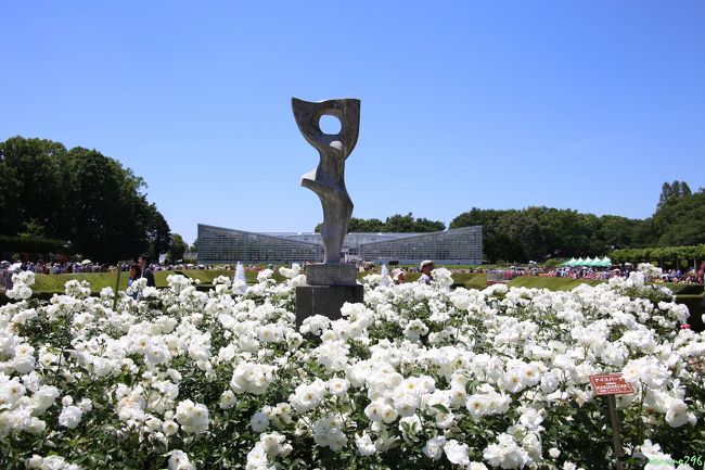 今年も神代植物公園の春のバラフェスタに出掛けました。<br /><br />神代植物公園のばら園では、約４００品種、５，２００株ほどのバラが栽培されているそうで、バラの花が見ごろとなる時期に合わせ「春のバラフェスタ」が開催されます。<br />この春のバラフェスタは５月１０日〜２９日、この日は開催期間の中頃でバラの花の状態も良く、バラの香りに包まれて楽しい時間を過ごすことが出来ました。<br /><br />いつものことですが、バラの花の写真を撮ると枚数が多くなってしまい、整理するのに時間が掛かってしまいます。<br /><br />またバラの図鑑のような旅行記になってしまいましたが宜しければご覧になって下さい。<br /><br />