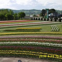 花・ハナ・カニ・蟹・ハナ・花～～ヽ(^。^)ノの研修旅行なのだ！