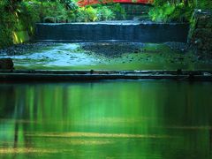 静岡　青もみじめぐり～小國神社、大洞院、油山寺、龍潭寺