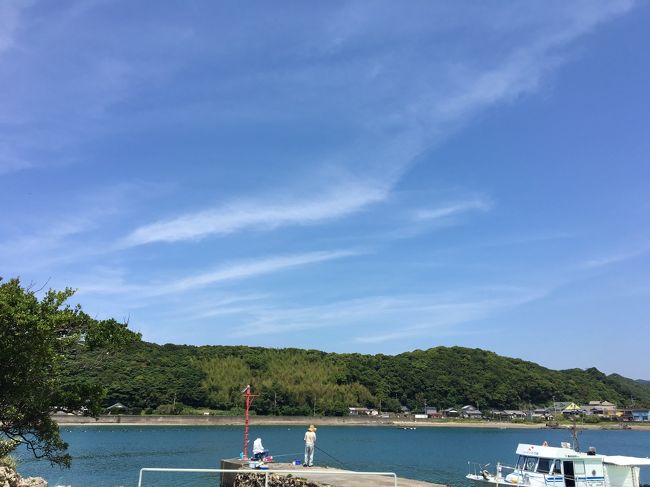 久々のダイビング＠串本　ダイビング祭りでマグロをいただく♪