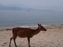 出張のついでにゲーセン行って、宮島で鹿を眺めてきた1泊2日の旅。