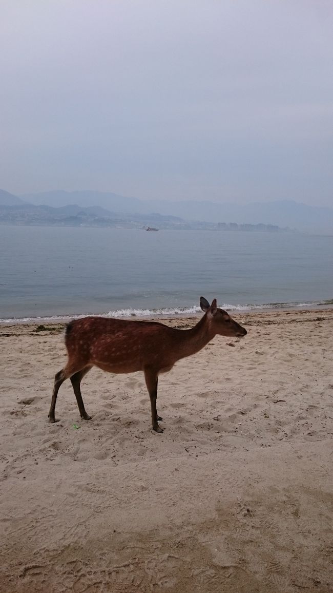 何か仕事関係で広島に行く用事が出来まして…<br /><br />とりあえず宮島行った事無いし行っとくか〜、と。<br /><br />まぁ特に面白い物は無いと想います…ゲーセンくらいかな…