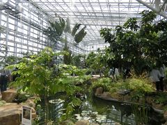 リニューアル後の神代植物公園の温室