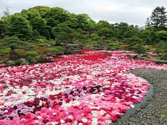 ２０１６　GWの旅は突然に・・・山陰１泊２日＜３－3＞ ～【由志園】　イエローガーデン・フェスティバル～