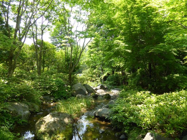 初夏の「国営昭和記念公園」♪　Vol4　「日本庭園」　新緑の美しい風景の中　優雅なお茶♪