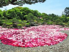 2016年５月　島根県　その１　大根島の由志園でランチと牡丹の花を楽しみました。