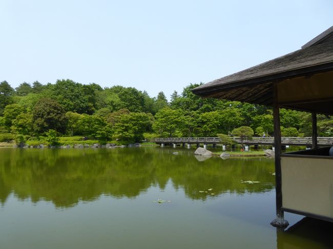 初夏の「国営昭和記念公園」♪　Vol6　「日本庭園」　新緑の滝・スイレン・アヤメ♪
