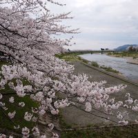 角館と大仙市に行ってきた～桜・さくら・サクラ