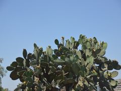 キューバ・メキシコへ一人旅②