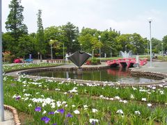 碧南油ヶ渕花菖蒲・安城デンパーク2016