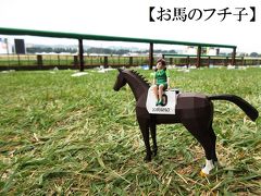 【日本ダービー 観戦記】 競馬場へ、いこう！