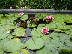 水生植物公園みずの森