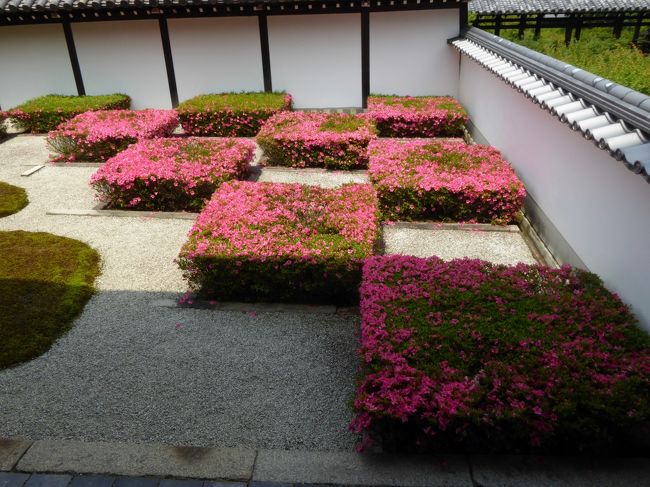 サツキと花菖蒲を見に・・・・京都市バスを乗り継ぐ旅♪