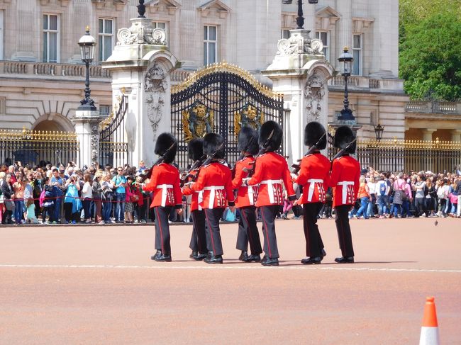 　楽しかったイギリス旅行も最終日になりロンドンの観光を残すのみ、大英博物館の見学・バッキンガム宮殿の衛兵交換・ウエストミンスター寺院の見学です<br /><br />　写真は、衛兵の交代式<br />天候によって開催されないこともありますが、今回は天候に恵まれました