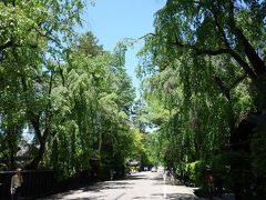 2016年　5月　秋田県　角館