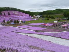 2016年「春の絶景を楽しむ北海道４日間」の旅　その１