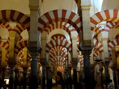 白い街に青い街、コルドバのパティオ祭りにフェズのリアド巡り！雨のアンダルシアとプチ･モロッコ旅⑤(パティオ祭り前半戦とメスキータ編）