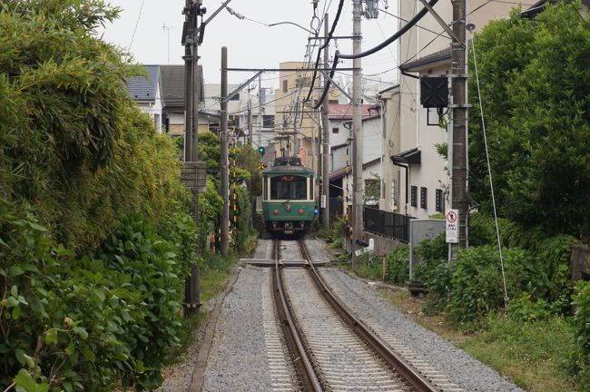GWの3連休は、鎌倉と山中湖・河口湖を旅してきました。<br />鎌倉では着物ではんなり。<br />山中湖・河口湖ではサイクリングとミニピクニックでアクティブに!<br />正反対の楽しみ方をしてきました♪<br /><br />鎌倉は人がたくさん!!<br />長谷寺に詣でて、古民家カフェで一服。<br />御霊神社でおもしろい神社を写真におさめます。