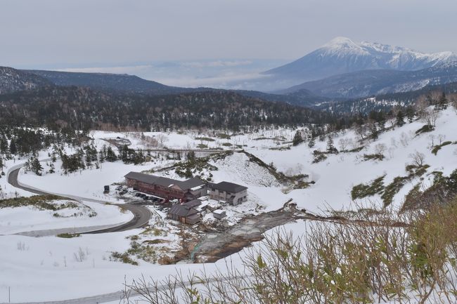 GWに8泊9日で秋田、青森、岩手、山形、福島へ行ってきました。<br />良質の温泉、秘湯温泉、湯治宿、混雑していない観光地に癒された東北周遊の忘備録です。<br /><br />～8泊9日の概要～<br />◆旅行目的：　温泉 7割/　観光 3割　（大体）<br />◆移動手段：　マイカー<br />◆走行距離：　3,332km<br />◆平均燃費：　24.2km<br />◆使用金額：　105,000円<br /><br />(1of7)<br />http://4travel.jp/travelogue/11137016<br />(2of7)<br />http://4travel.jp/travelogue/11137769<br />(3of7)<br />http://4travel.jp/travelogue/11137793<br />(4of7)<br />http://4travel.jp/travelogue/11137876<br />(5of7)<br />http://4travel.jp/travelogue/11138004<br />(6of7)<br />http://4travel.jp/travelogue/11138196<br />(7of7)<br />http://4travel.jp/travelogue/11138555<br /><br />【その③の内容】<br />5/2　<br />・青森市<br />　↓<br />・藤七温泉＠秋田県鹿角市<br />　↓<br />・黒湯温泉 宿泊＠秋田県仙北市