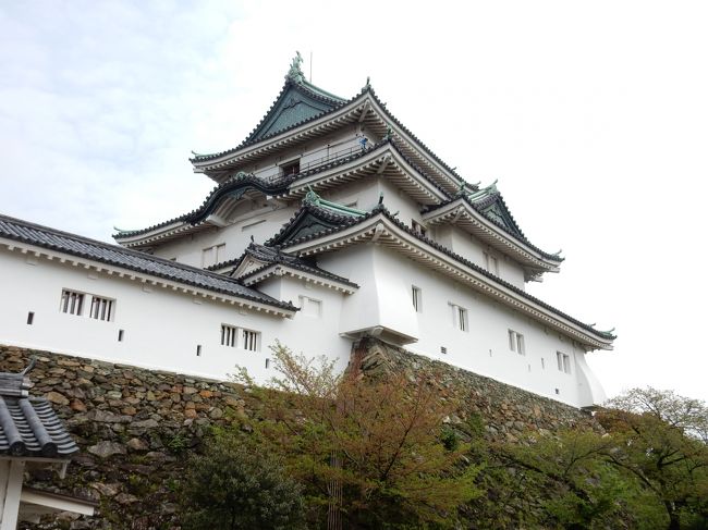 日本１００名城巡り　新大阪を起点に近畿圏７城を２泊３日で巡りました。　3日目です。<br /><br />新大阪のホテル→和歌山城→大阪城（2度目）→新大阪駅→新幹線のぞみで帰路につく。