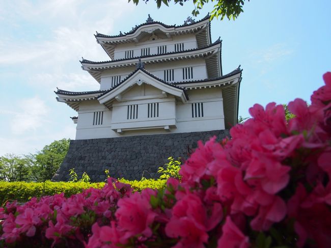 ６月１日天気が良かったので、<br />川越に行こうと思い、ついでといってはなんだけど、<br />埼玉県の行田市にある映画でも有名になった【忍城】にも寄ってみました。<br /><br />行田市は、足利からも１時間くらいで行けるのですが、<br />一度も行った事がなく、忍城跡には今回初めての訪問です<br /><br />平日にはめったにいない「忍城おもてなし甲冑隊」にも会えてラッキーな日でした♪