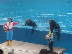 「横浜八景島シーパラダイス」へ行ってきた～(2)「やっぱりいいね?水族館！」初めて入りました。