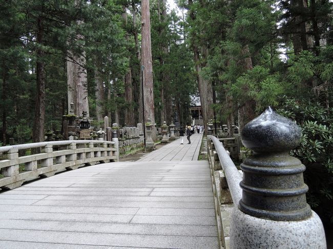 いつかは行きたいと思っていた世界遺産の熊野古道や高野山。<br />２泊３日のツアーを見つけて参加することに。<br /><br />３日目は高野山。<br />昨年、弘法大師空海が開創されて1200年を迎えたという<br />高野山には、歴史あるお寺が立ち並び、奥之院参道には、<br />樹齢何百年という杉木立の中に織田信長や豊臣秀吉やなどの<br />戦国大名をはじめ、大企業や有名人など、20万以上の墓碑が<br />並んでいました。苔むした墓碑や真新しい墓碑等々・・・<br /><br />御廟には、弘法大師様が今も生きて瞑想を続けているとされていて<br />１日に２回、食事をはこんでいるそうです。<br /><br />普段は無信心の私も、思わず背筋をただし、手を合わせたくなるような<br />神聖な空気に満ちている場所でした。<br /><br />