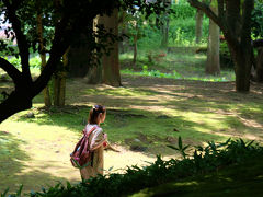 王子飛鳥山下の紫陽花を見たくて　上　滝野川公園から　七社神社を通って