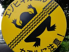 サブちゃんの歌詞しか思いつかない、お久しぶりの函館へ行って来た～♪ 丸々お任せ楽チン観光、旅友に感謝～! ラビスタ函館ベイ・函館山展望台・トラピスチヌ修道院・五稜郭、エゾヒキガエルって何？ JAL利用(2016年6月)