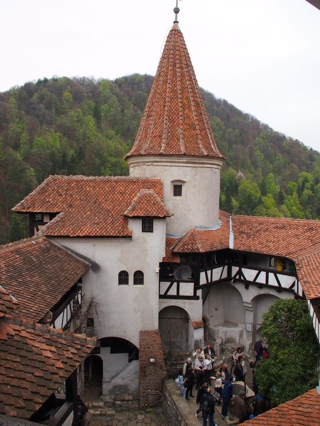 ルーマニア隋一の観光スポットであるブラン城Castelul Bran。<br /><br />吸血鬼ドラキュラの居城のモデルとなったお城・・・とされているが、実際のところ、小説ドラキュラの作者ブラム・ストーカーが、ここを（ルーマニアを）訪れたことはないそうだし・・・そもそもブラン城って、ドラキュラのモデルとされるヴラド・ツェペシュ（ヴラド３世）が住んだことはなく、彼の爺ちゃんが住んでいたってだけのお城なんだよね〜。<br /><br />さらに、色々調べていくと・・・ドラキュラの居城・・・と聞いてイメージする陰湿で不気味なイメージとは裏腹に・・・お土産屋や飲食店がひしめくものすごく明るくて賑やかな場所・・・まるでテーマパークのようだ・・・という。<br /><br />丸１日しかないブラショフ滞在時間。<br /><br />私としては、ブラン城に行かなくてもいいかも・・・なんて迷っていたのだが、話のタネにしたい連れ合いが、行きたい！と言うので・・・プランに組み入れることにしたのだ。<br /><br />ルーマニア隋一の観光地・・・ルーマニアで一番有名なスポットかも・・・？と思えるブラン城だから・・・一応、行っておいた方がいいかな・・・なんて私も思って・・・。<br /><br />ブラン城ＨＰ<br />http://www.bran-castle.com/