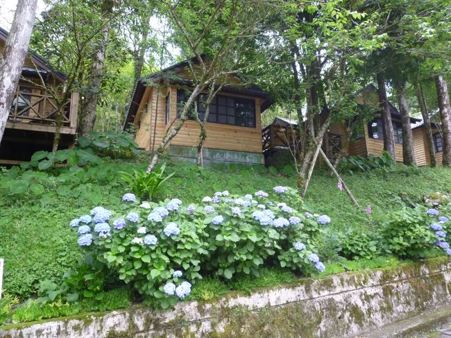 宜蘭・基隆・三峡 バス旅行二泊三日 一日目 2016/06/03-06/05<br /><br />義兄の会社の慰安旅行に便乗して、宜蘭・基隆・三峡のバス旅行に参加しました。料金は一人6000元でした。<br />流石に一流会社の社員及びそのご家族たち、道中、人に迷惑をかけることもなく楽しい旅行が出来ました。<br />台湾で何度かバス旅行に同行させてもらいましたが、こんな感じは初めてでした。<br /><br />一日目:宜蘭幾米公園散策・明池山荘宿泊<br /><br />高雄からバスで出発==石碇の「桔山餐廳」で昼食==宜蘭幾米公園散策==棲蘭駐車場でマイクロバスに乗り換えます==明池山荘宿泊・夕食:夕食前に簡単に周辺を散策
