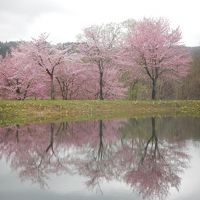 2016 GW  東北の温泉へ　【7】　雨の中、秋田内陸部をゆく